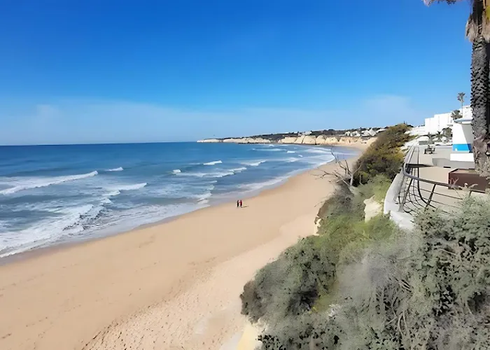 Barbecue And - 200m Away